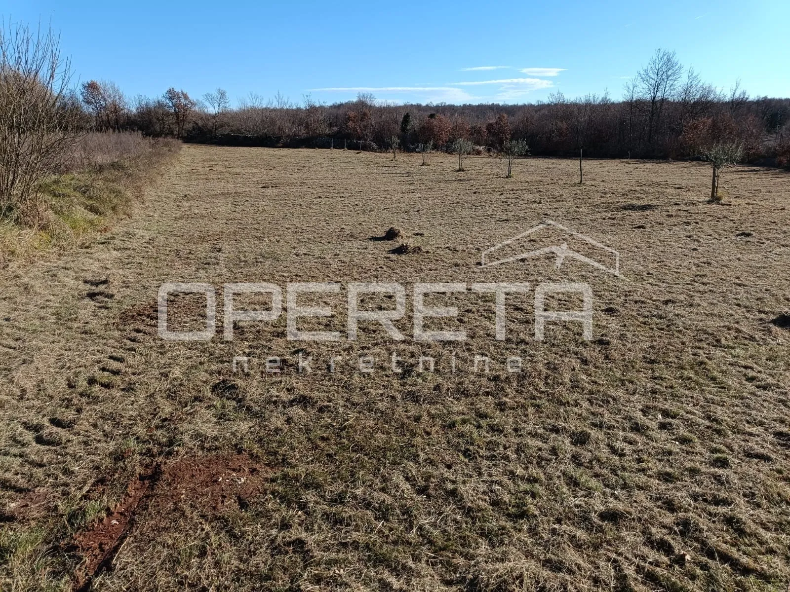 žminj, žminj, 3.909,00 m2, 175.900,00 eur - slika 10