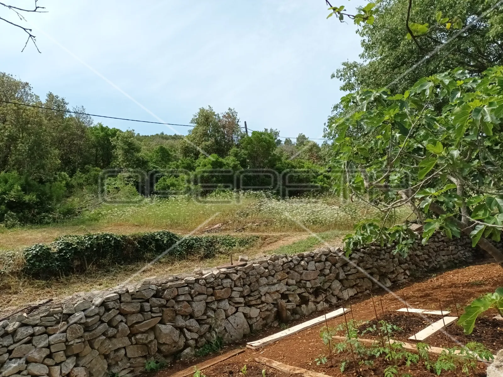 gornje kunjanovo, vis, 5.002,00 m2, 76.006,00 eur - slika 16