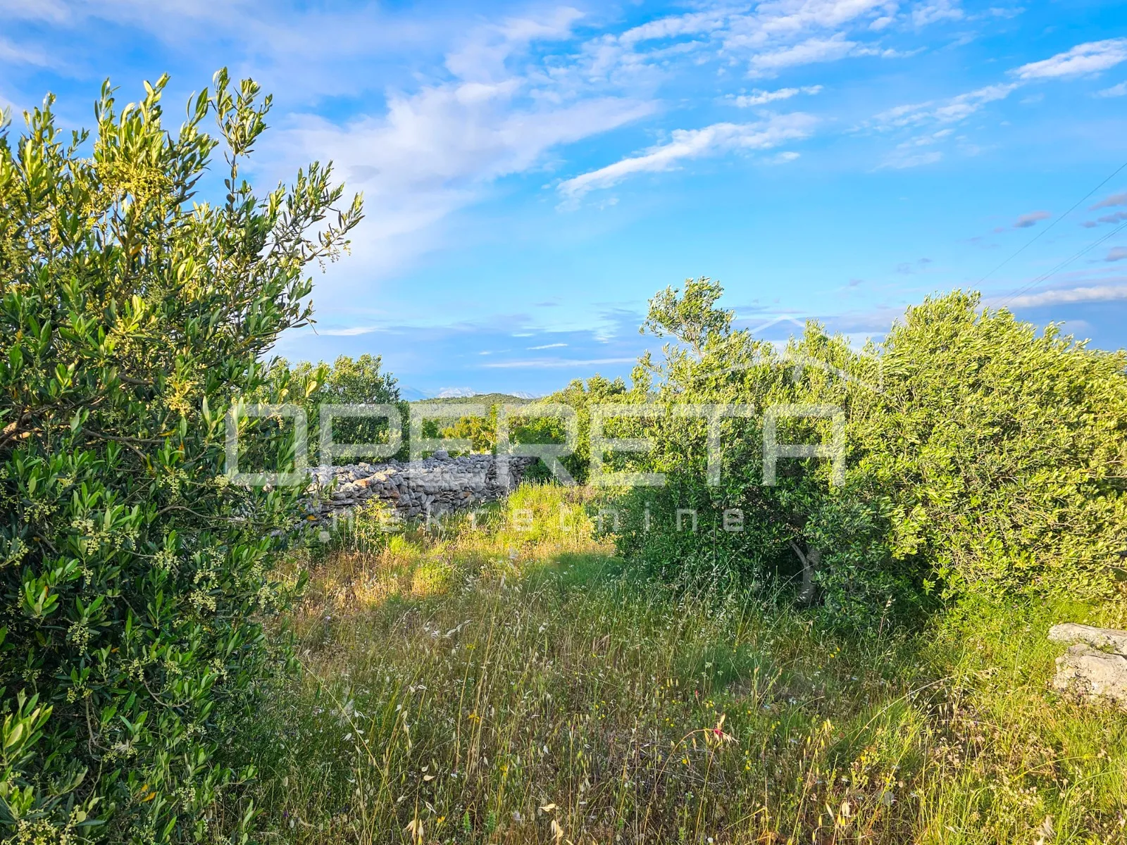 veliko poljoprivredno imanje na vrhu hvara s panoramskim pogledom - slika 24