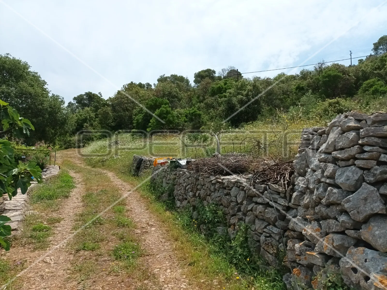gornje kunjanovo, vis, 5.002,00 m2, 76.006,00 eur - slika 15