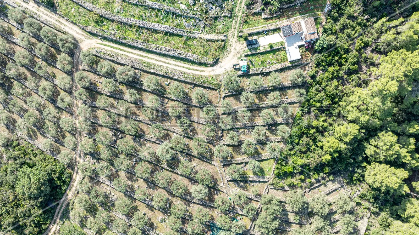 poljoprivredno zemljište na korčuli – 14.406 m2 za razvoj i ulaganje - slika 15