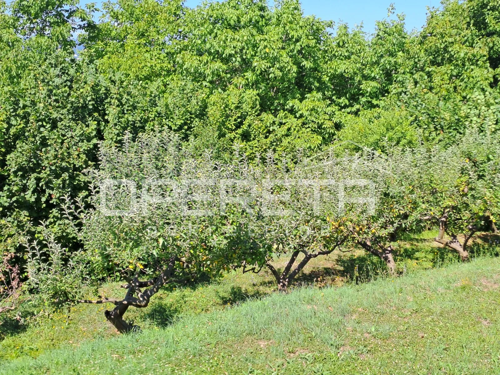 prodaja, kuća, podsused, gornji put, samostojeća, 227m2 - slika 43