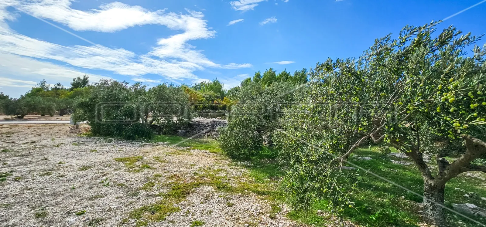jedinstvena prilika, poljoprivredno zemljište s pogledom na more, 12.938m2 - slika 11