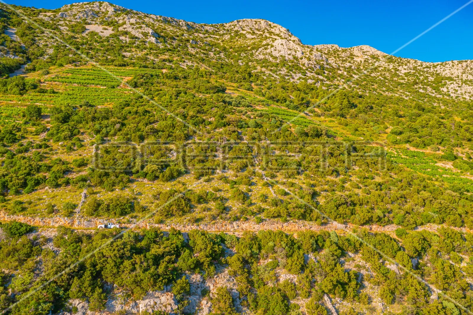 zemljište, 12.257 m2, dingač, pelješac, 40 eur/m2 - slika 12
