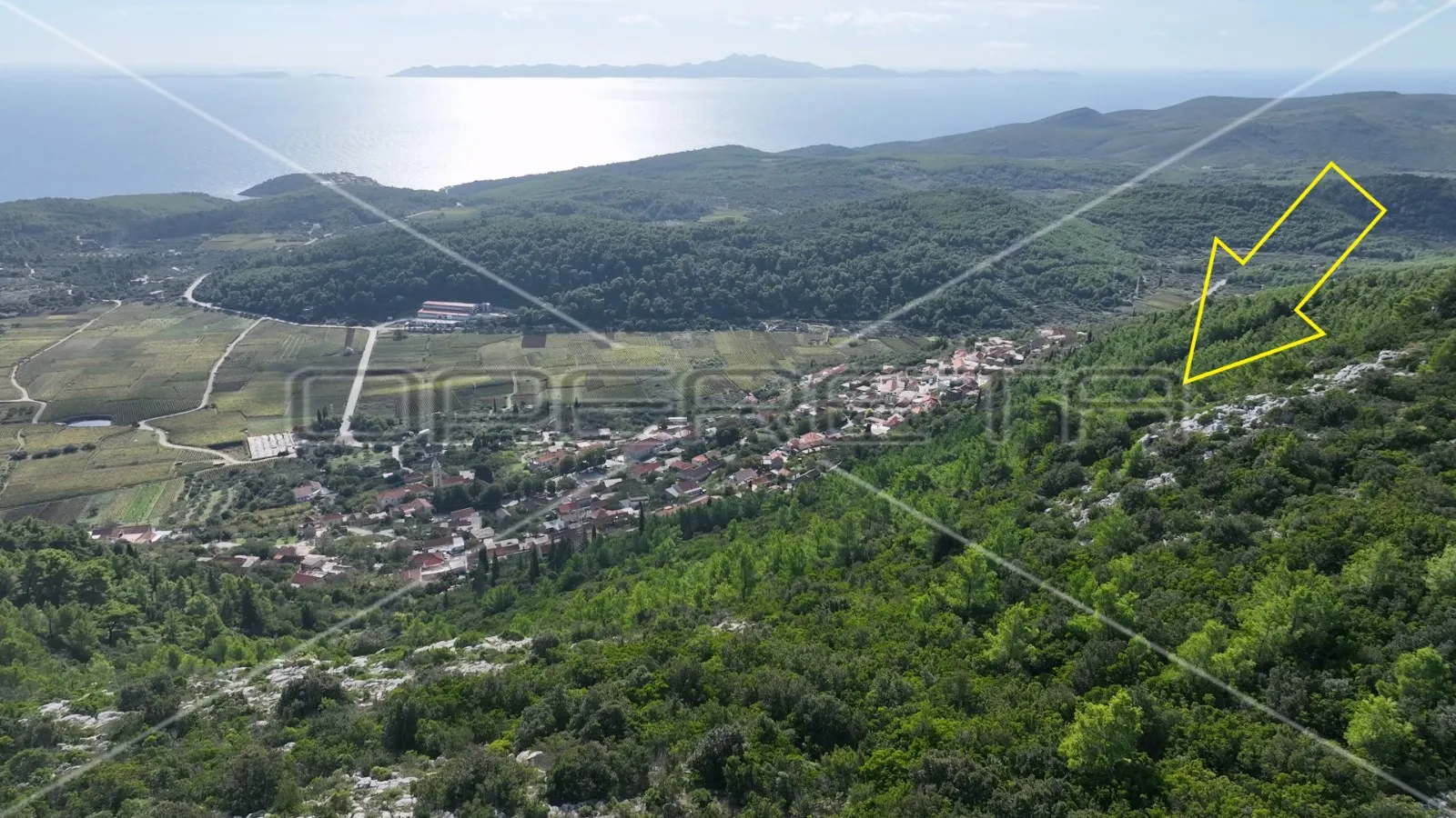 zemljište 51.000 m2 s pogledom na more, čara, korčula - slika 4