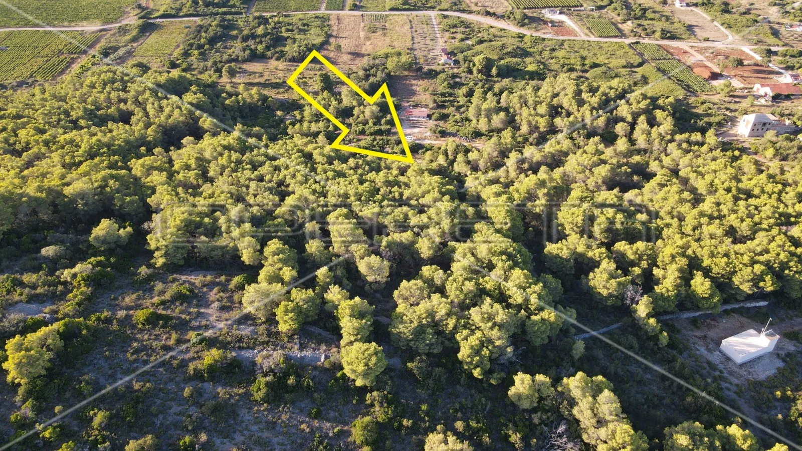 zemljište 4.105 m2, pravilan oblik i otovoren pogled na more, otok vis - slika 13