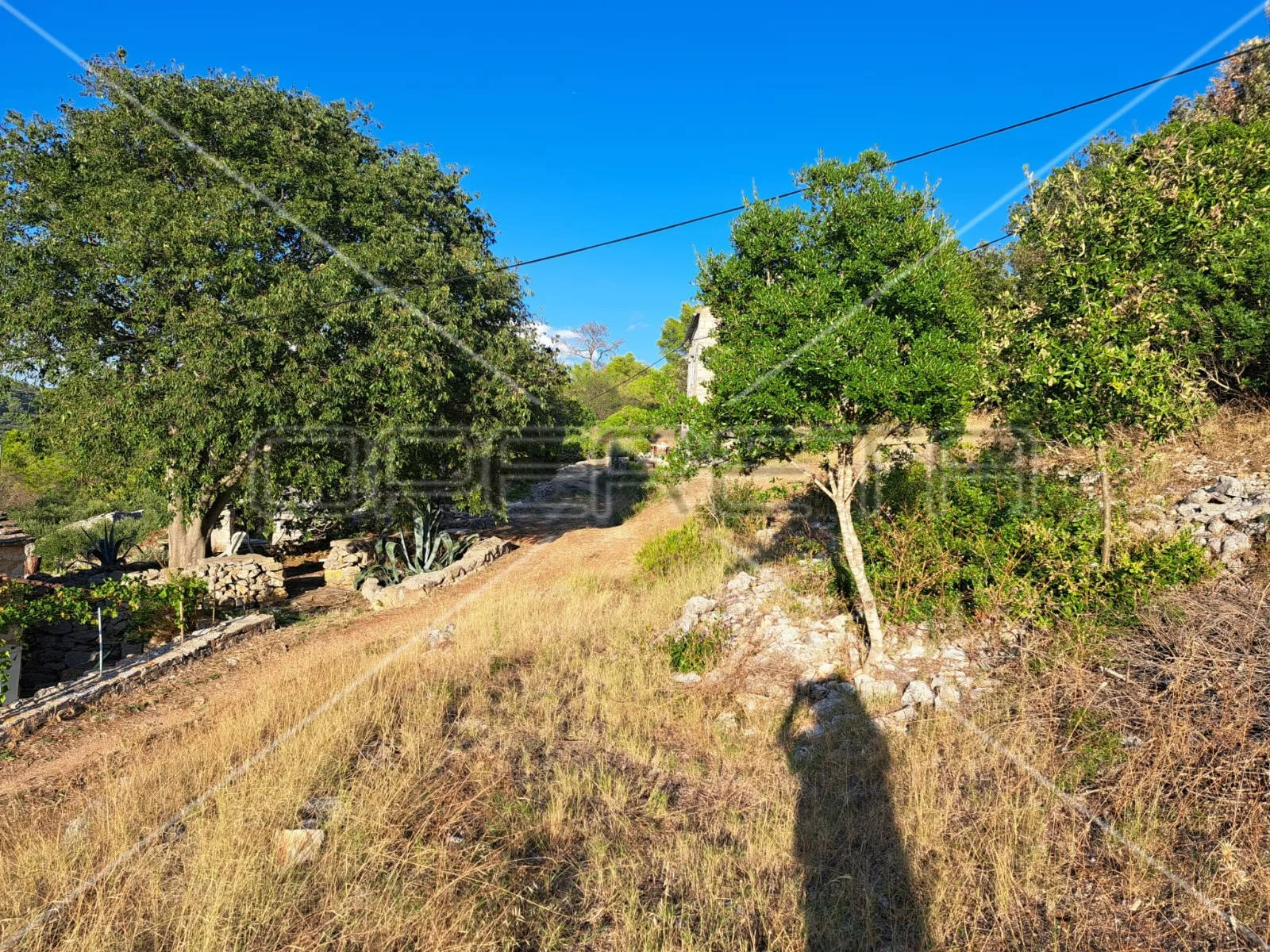 gornje kunjanovo, vis, 5.002,00 m2, 76.006,00 eur - slika 10