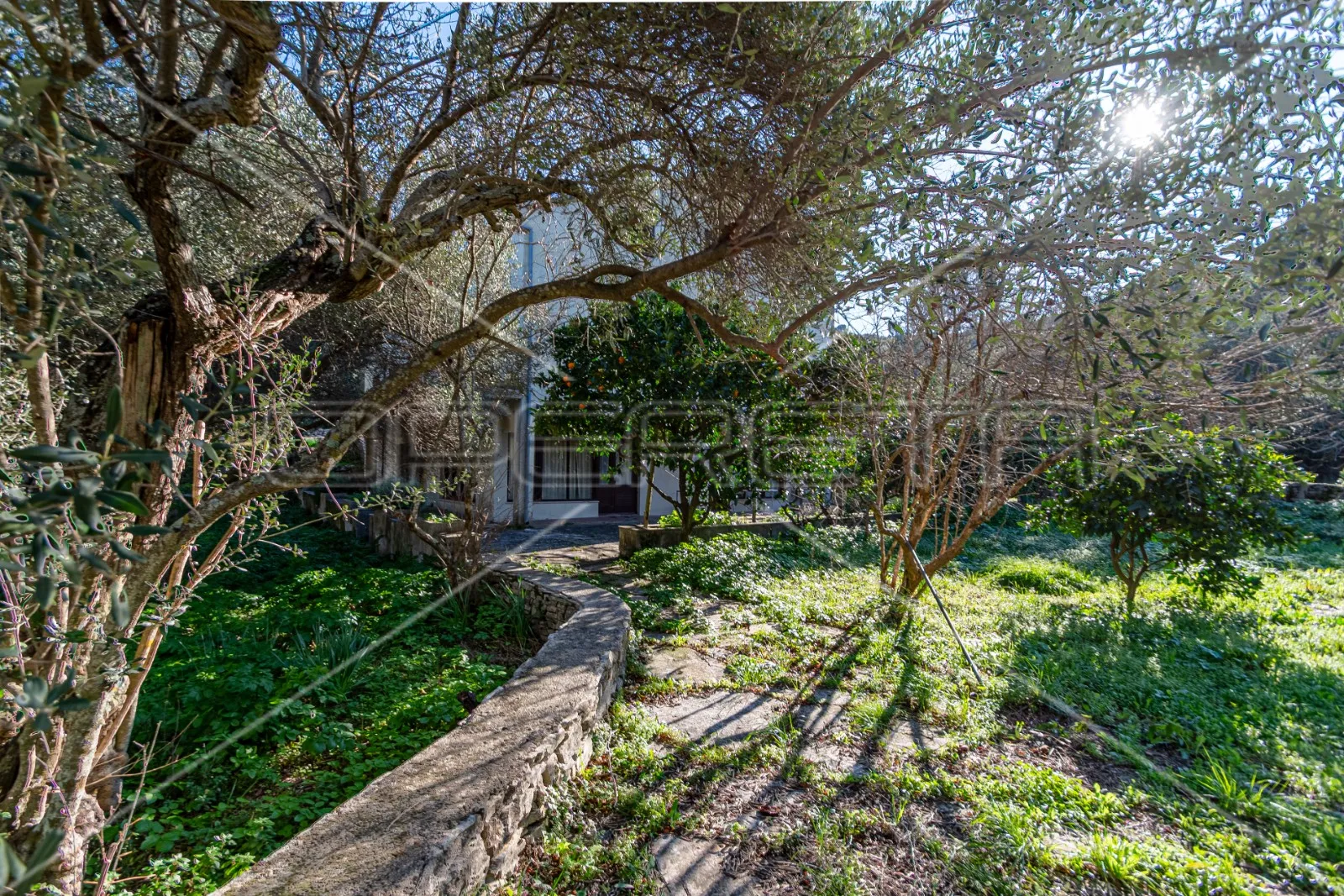 investicija, kuća sa poslovnim prostorom, žrnovska banja, otok korčula - slika 25