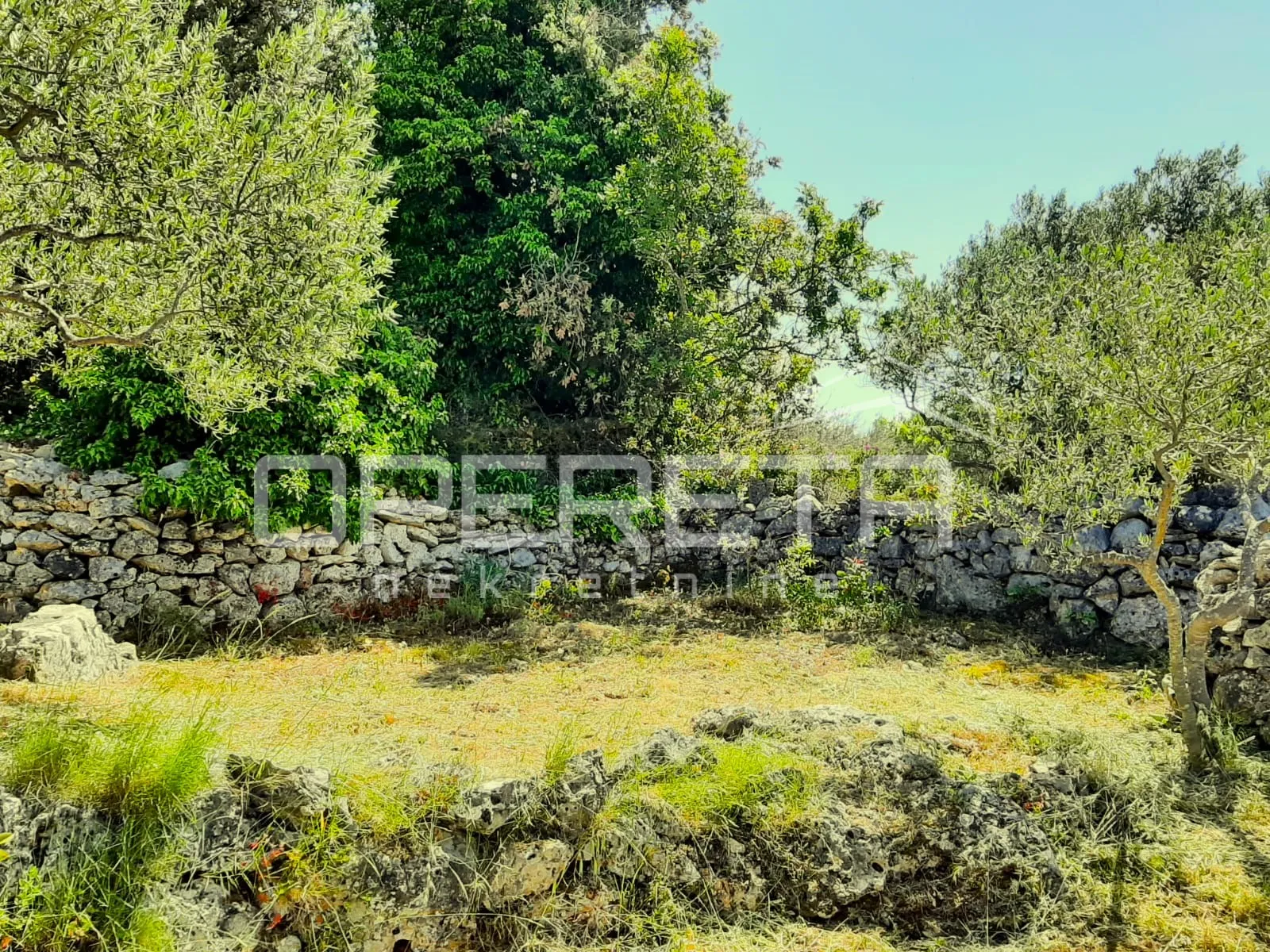 poljoprivredno zemljište, 4.834 m2, splitska, brač - slika 6