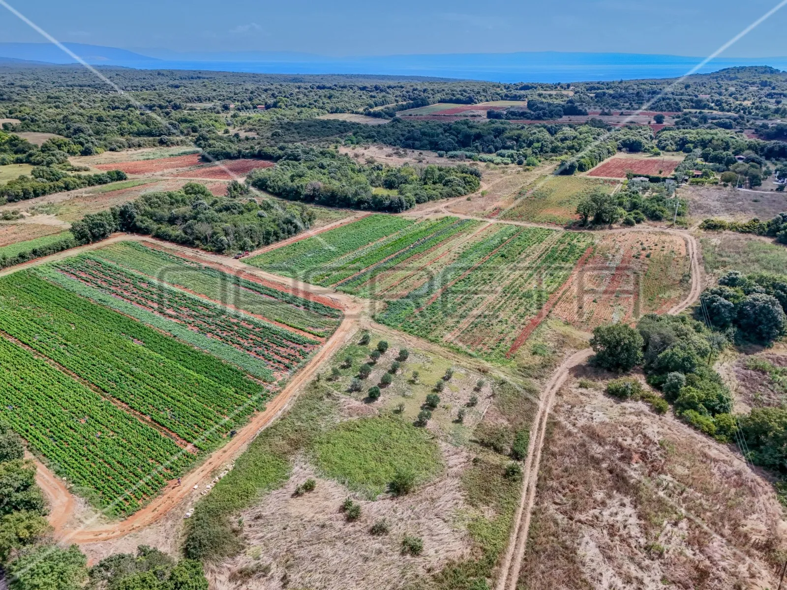 šišan poljoprivredno zemljište, 1.250 m2, na rubu urbanizacije - slika 5