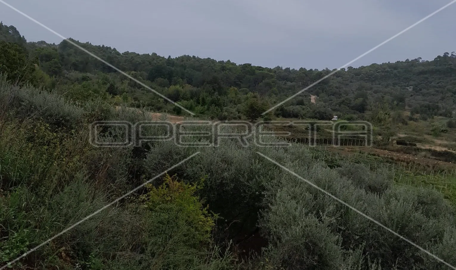 suđurađ, otok šipan, suđurađ, 29.323,00 m2, 180.000,00 eur - slika 5