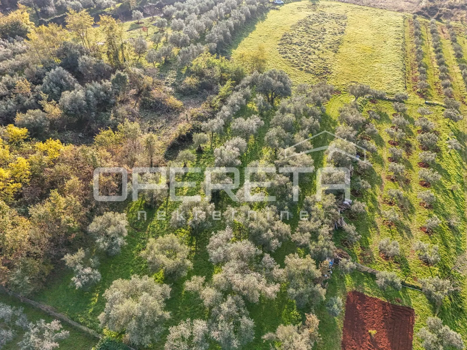 istra, lovrečica- građevinsko zemljište 683 m2 - slika 3