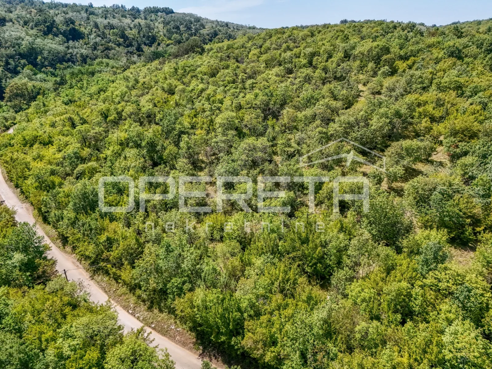 istra, šuma u okolici karojbe - slika 5