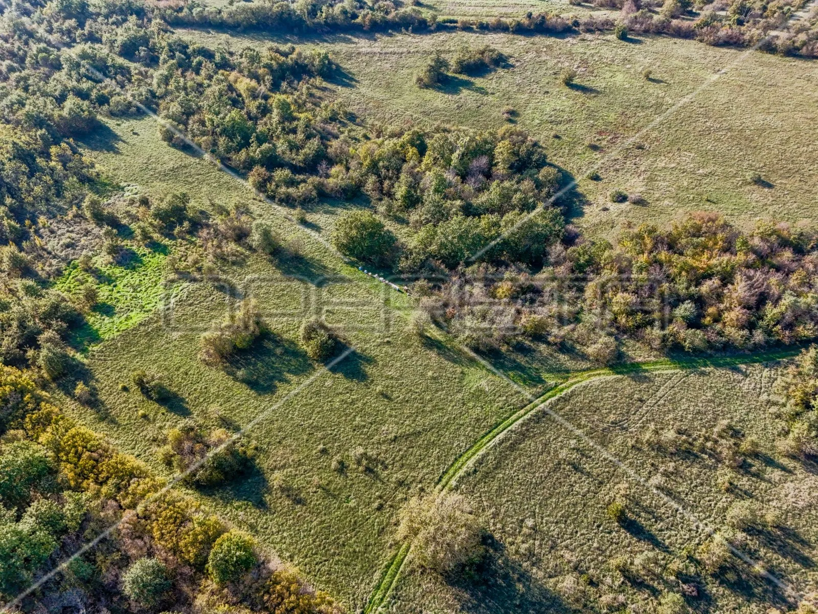 prostrano poljoprivredno zemljište 67900m2 marčana - slika 5