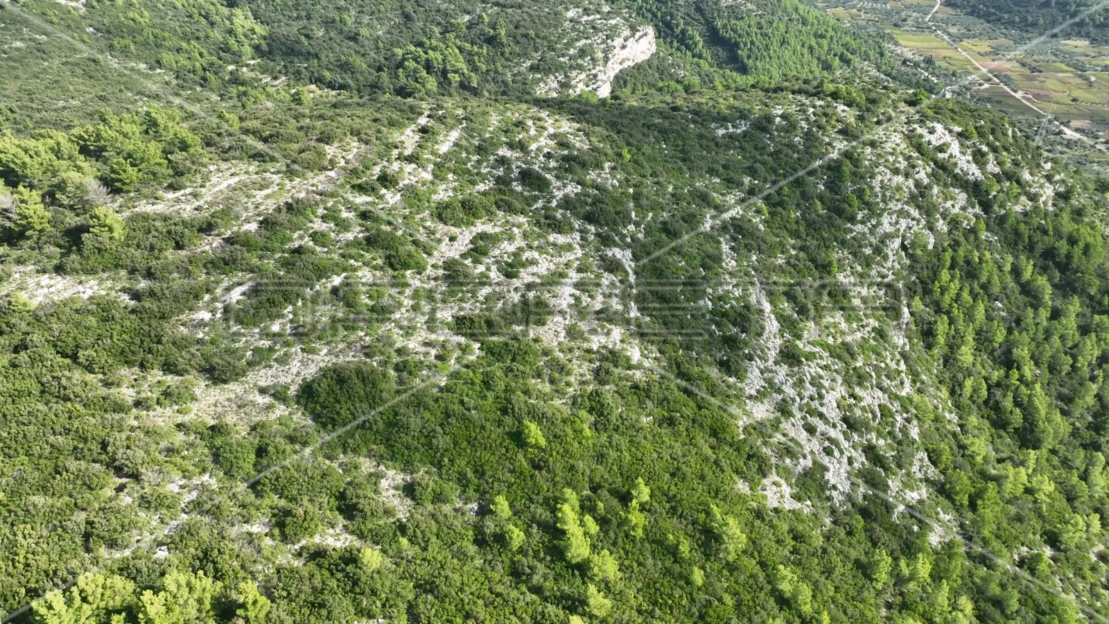 zemljište 51.000 m2 s pogledom na more, čara, korčula - slika 11