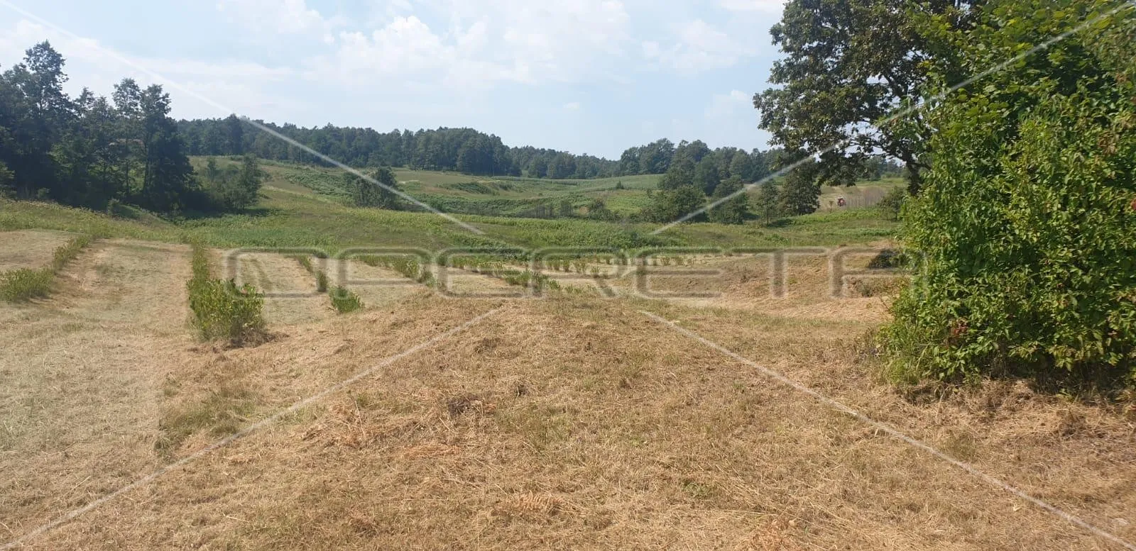 krnjak, krnjak, 320.942,00 m2, 965.512,00 eur - slika 9