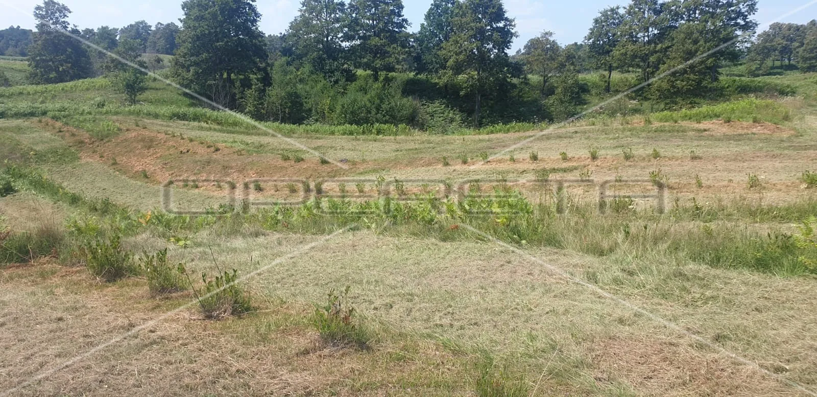 krnjak, krnjak, 320.942,00 m2, 965.512,00 eur - slika 5