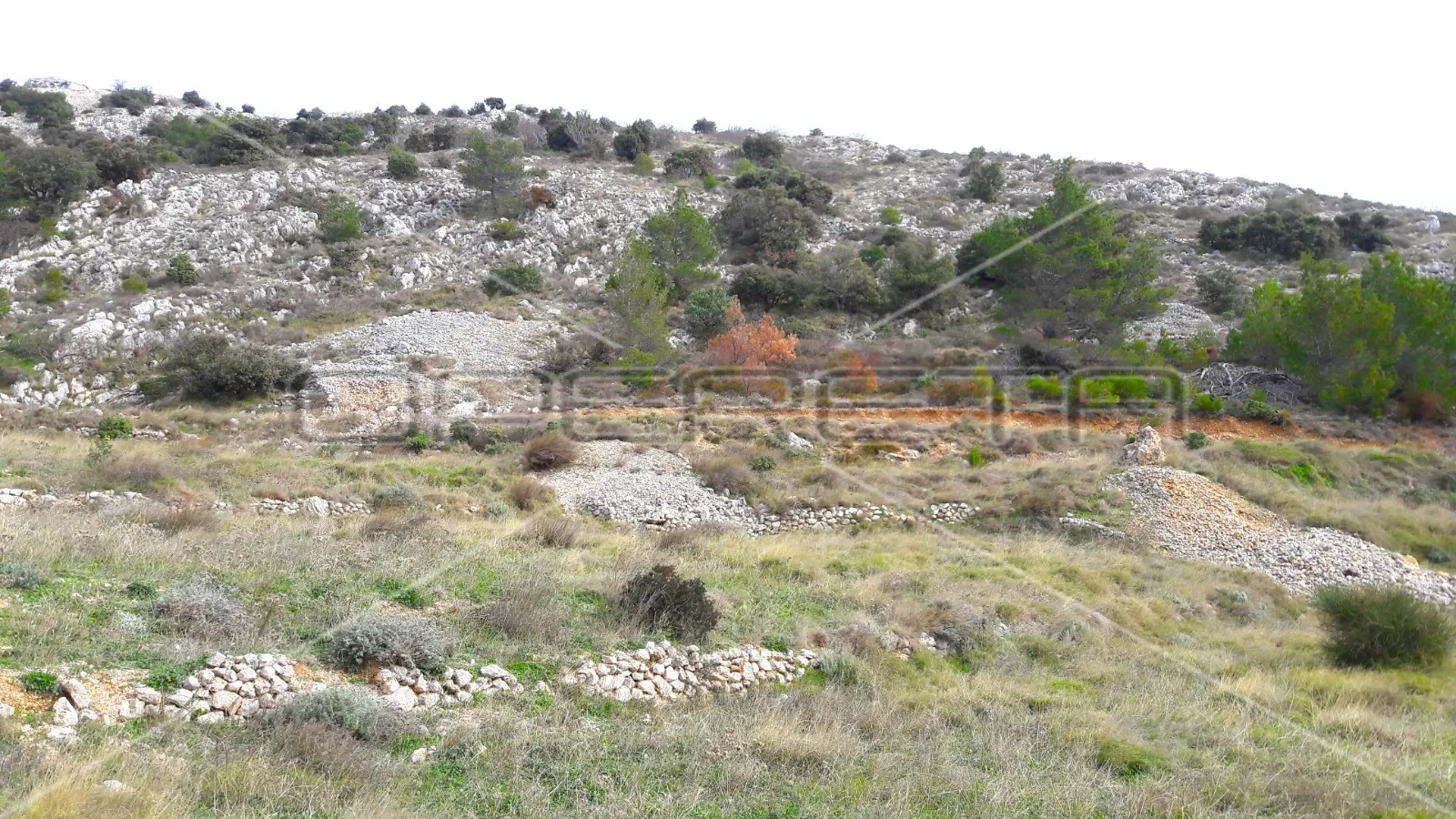 poljoprivredno zemljište s pogledom na more 27980 m2, bol, otok brač - slika 9