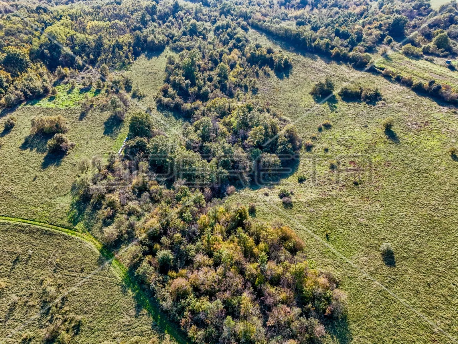 prostrano poljoprivredno zemljište 67900m2 marčana - slika 4