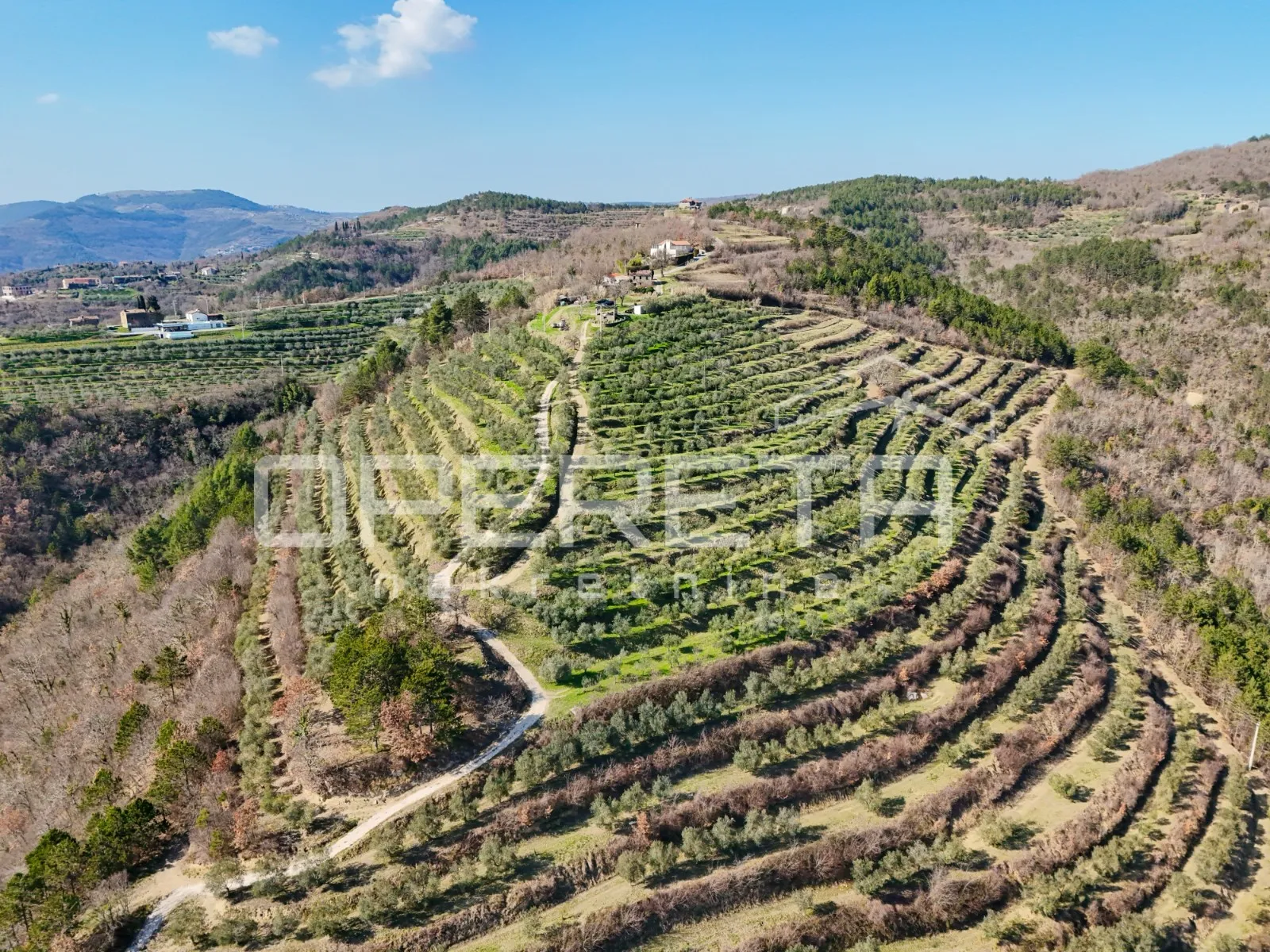 veliko imanje od 170 000 m2 s predivnim pogledom - slika 6