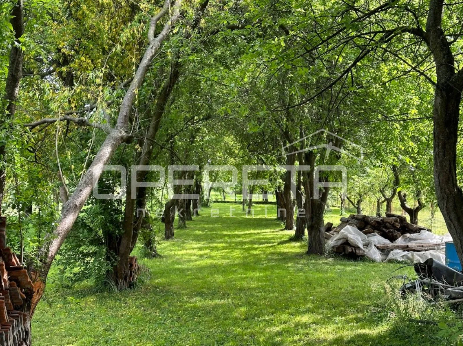trnovec, trnovec, 1.281,00 m2, 34.000,00 eur - slika 4