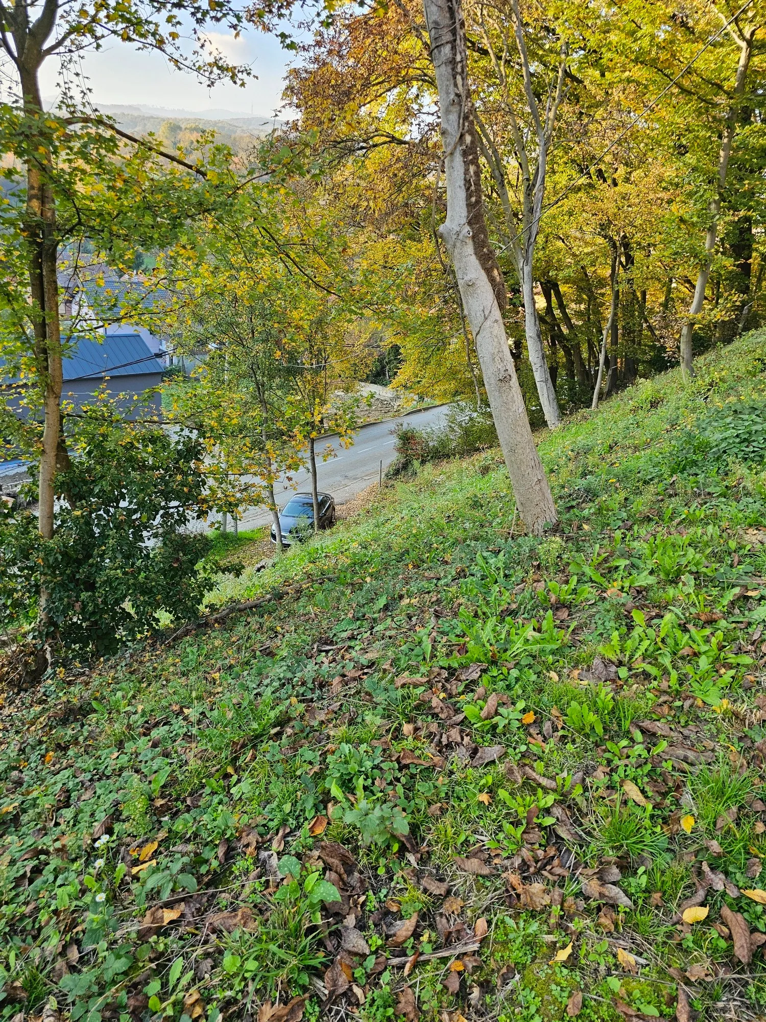 štefanovec, markuševec, 3.861,00 m2, 295.000,00 eur - slika 6