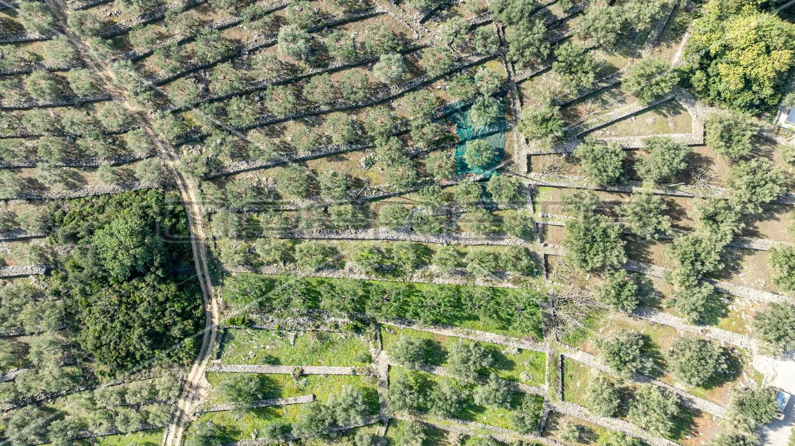poljoprivredno zemljište na korčuli – 14.406 m2 za razvoj i ulaganje - slika 17