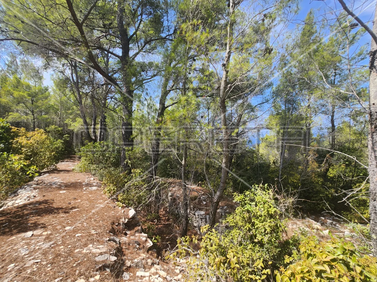 poljoprivredno zemljište s kućom – prigradica, korčula - slika 20