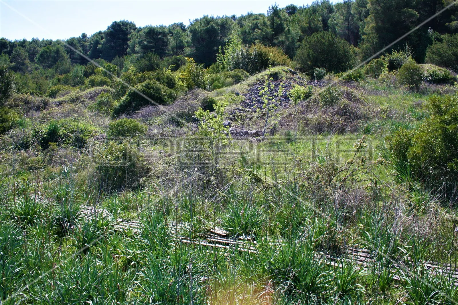 zemljište 4.105 m2, pravilan oblik i otovoren pogled na more, otok vis - slika 20
