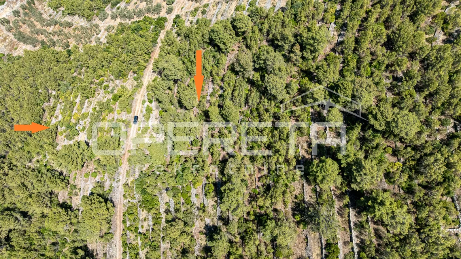 poljoprivredno zemljište,8956m2, u prirodnom okruženju – vela luka - slika 7