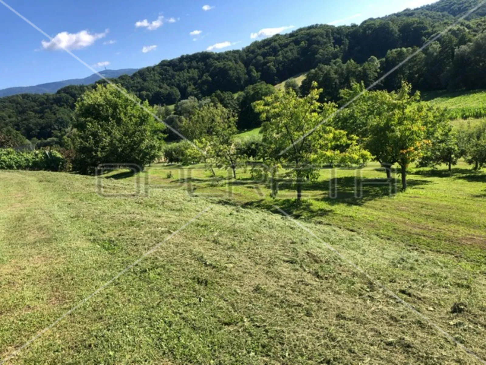 prodaja, kuća, donja stubica, pustodol, samostojeća, 250m2 - slika 19