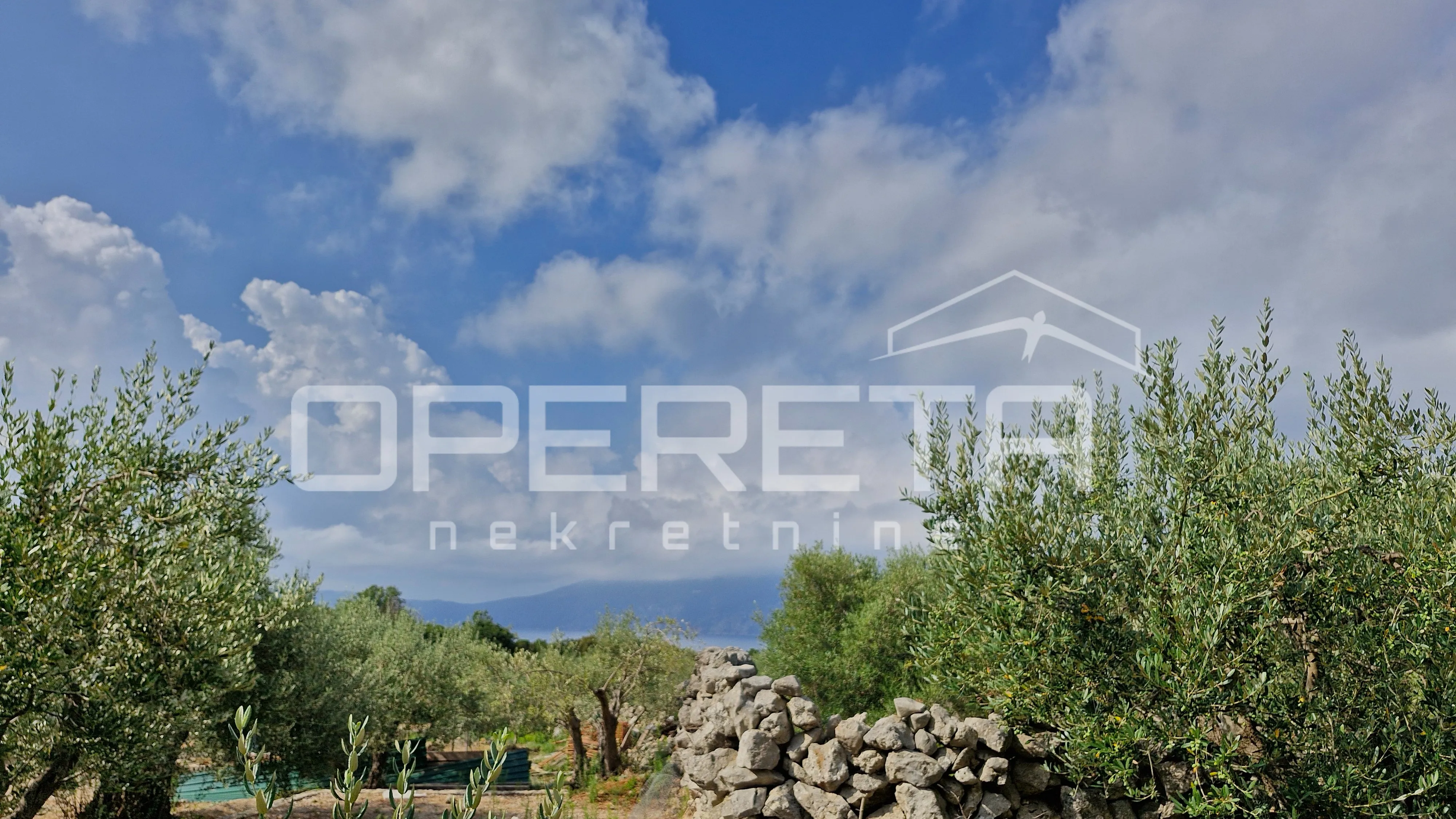 Prodaja Maslinika S Pogledom Na More – Idealno Za Investiciju I Održivi Turizam - Krk