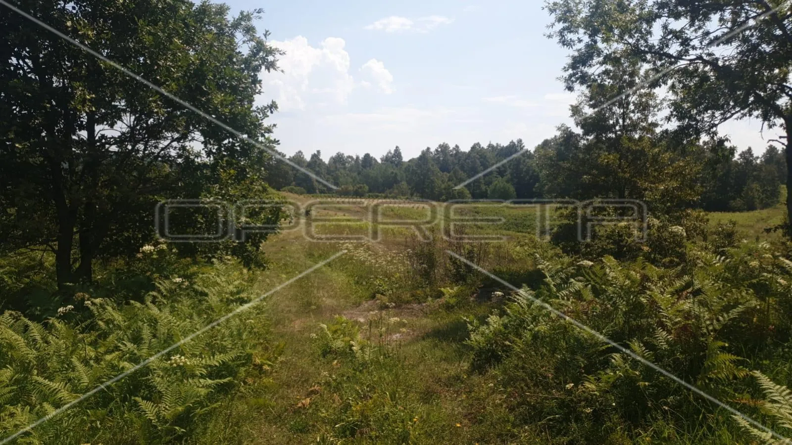 krnjak, krnjak, 320.942,00 m2, 965.512,00 eur - slika 10