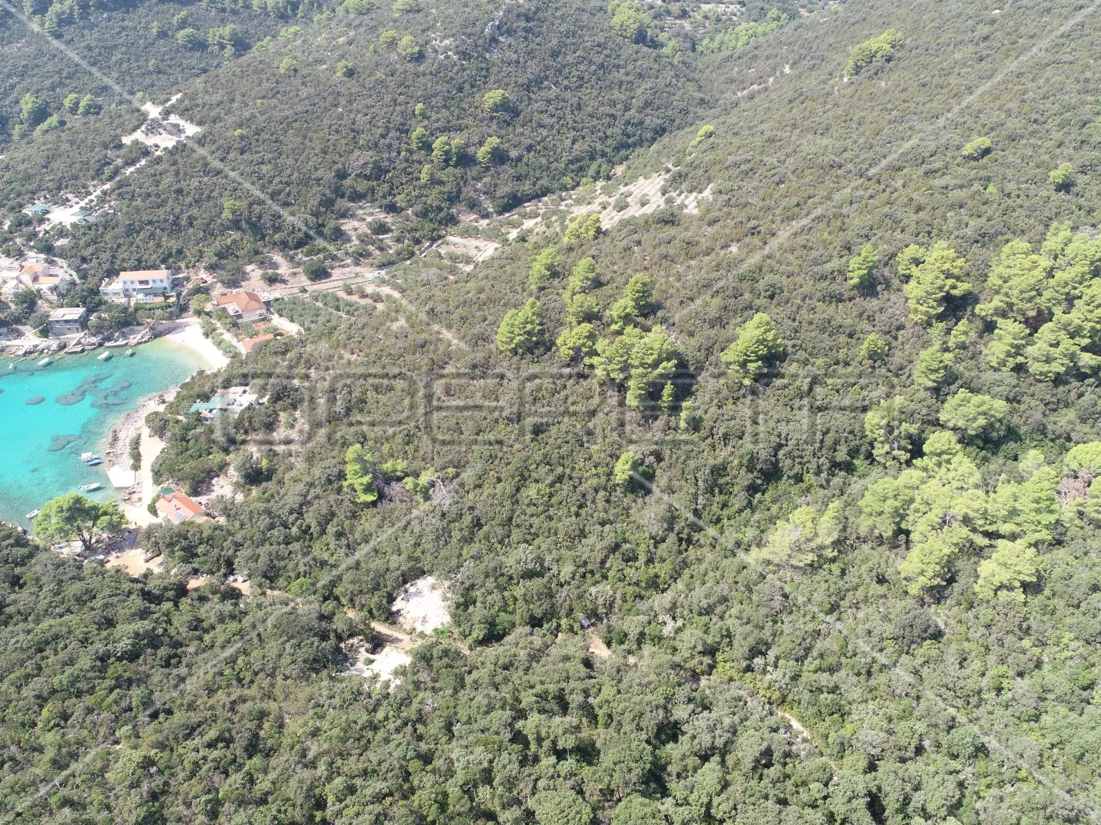 zemljište 8.079 m2 blizu mora, uvala rasohatica, korčula - slika 17