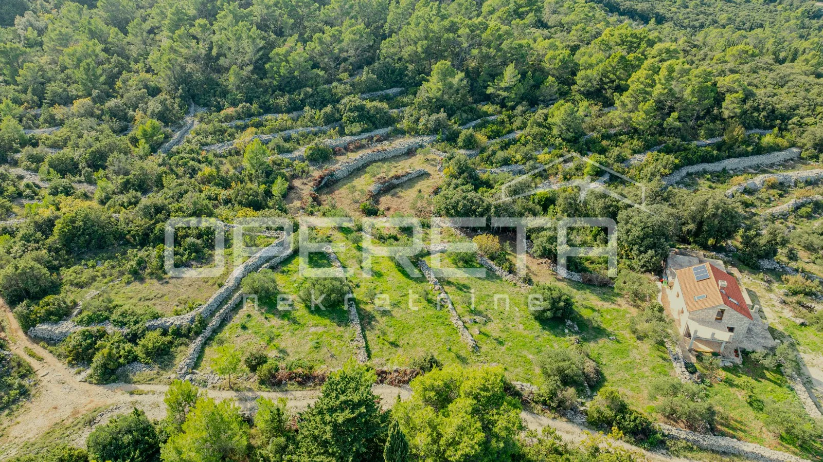 poljoprivredno zemljište od 3050 m2 s maslinama i suhozidima - slika 9