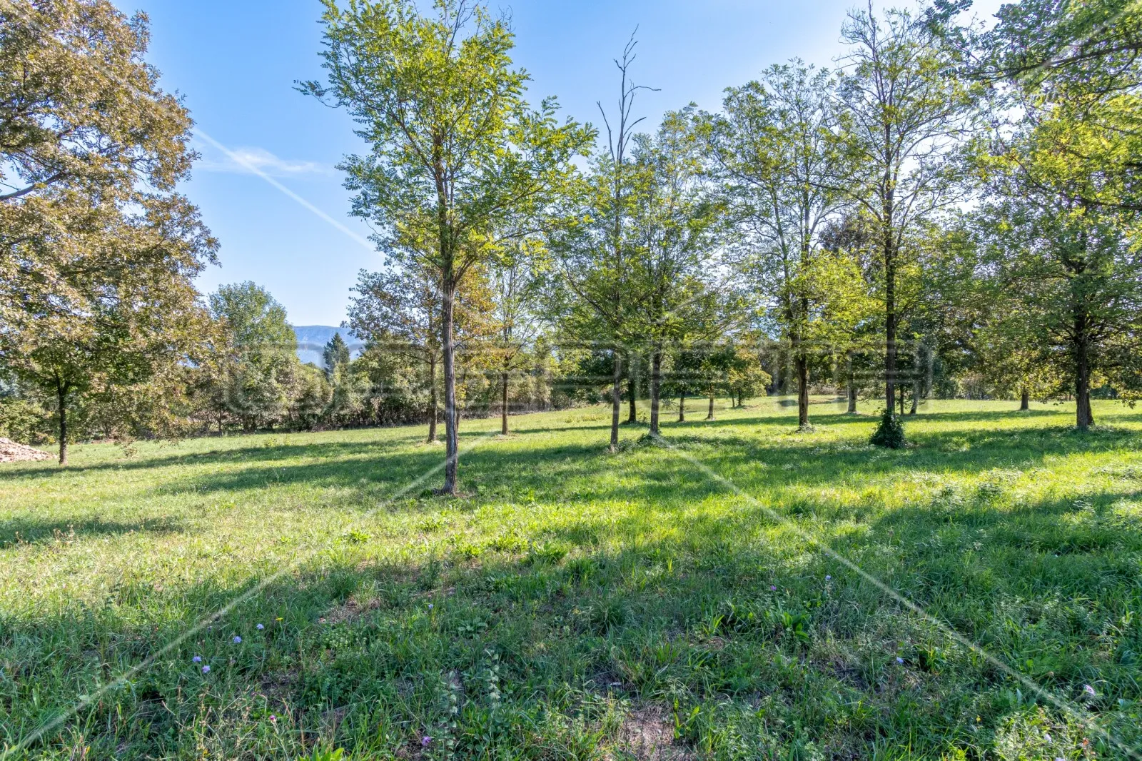 kršan, građevinsko zemljište 4.440 m2 na predivnoj lokaciji - slika 4