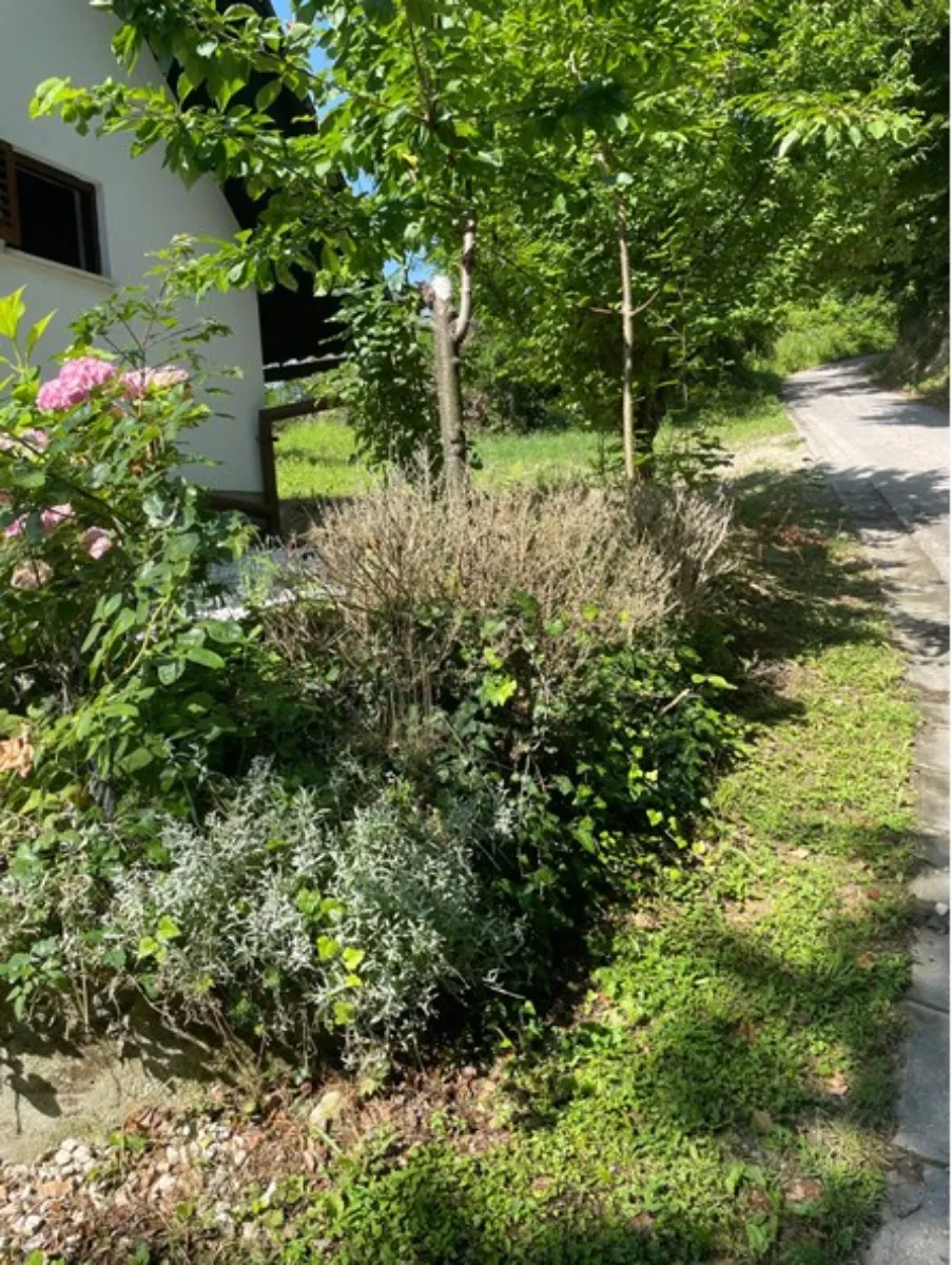 prodaja, kuća, gornja voća, gornja voća, samostojeća, 78m2 - slika 19