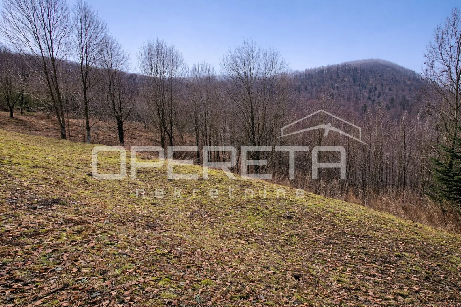 građevinsko zemljište sa šumom, benkovac fužinski, 4.726 m2 - slika 5