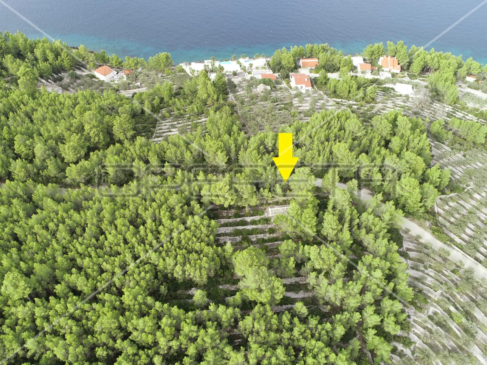 poljoprivredno zemljište s kućom – prigradica, korčula - slika 6