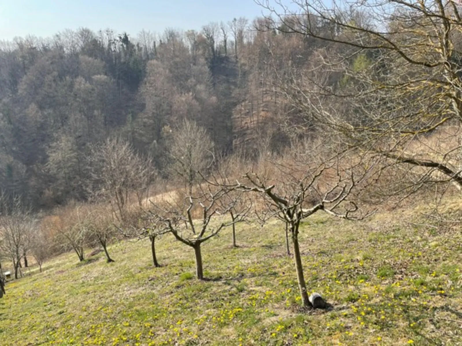 prodaja, kuća, gornja voća, gornja voća, samostojeća, 78m2 - slika 27