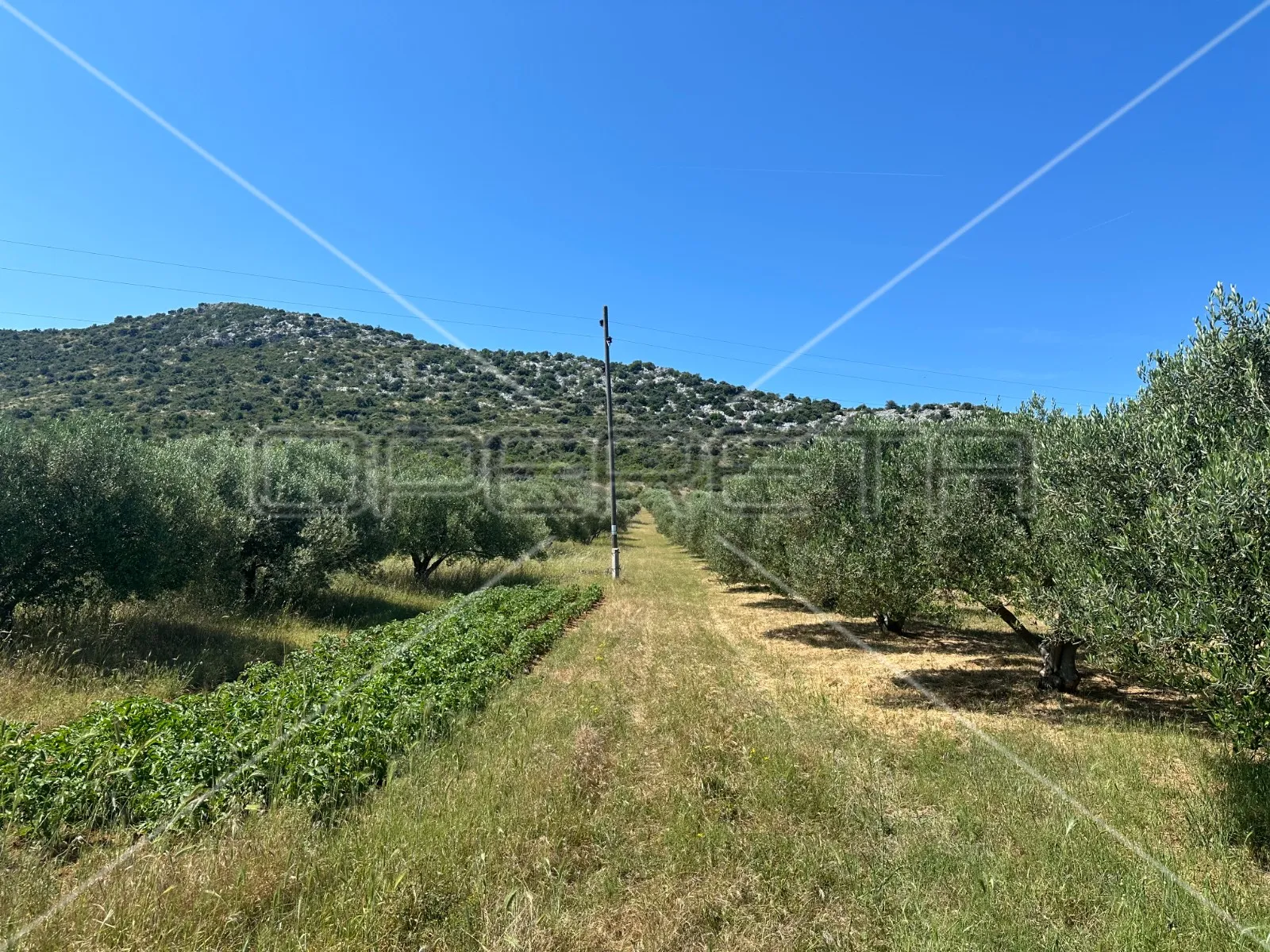 poljoprivredno zemljište idealno za agroturizam, dazlina, 45.000 m2 - slika 5