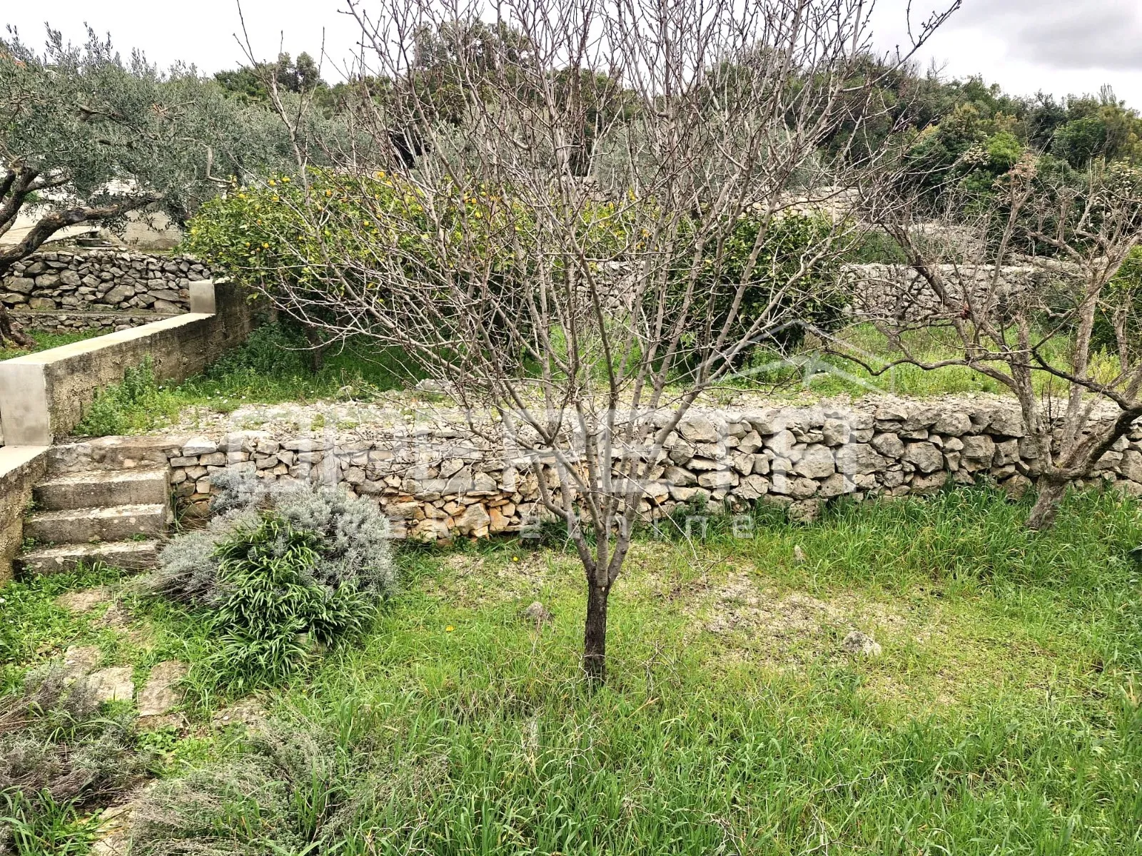stan u manjoj stambenoj zgradi s vrtom – sv antun, korčula - slika 9