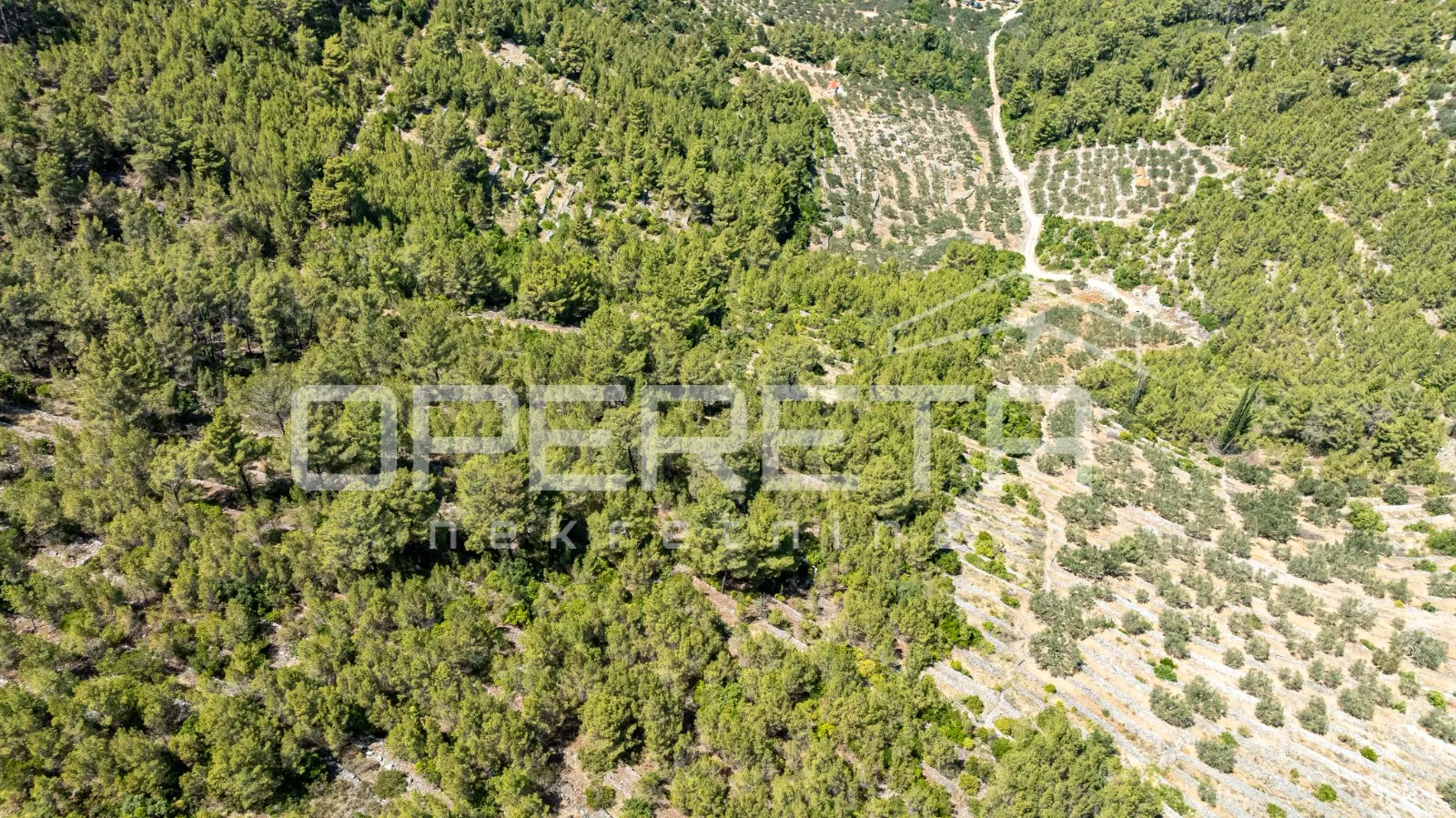 poljoprivredno zemljište,8956m2, u prirodnom okruženju – vela luka - slika 6