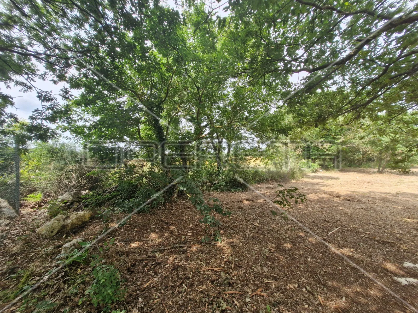jadreški, poljoprivredno zemljište 600m2, na mirnoj lokaciji, u blizini kuća - slika 4