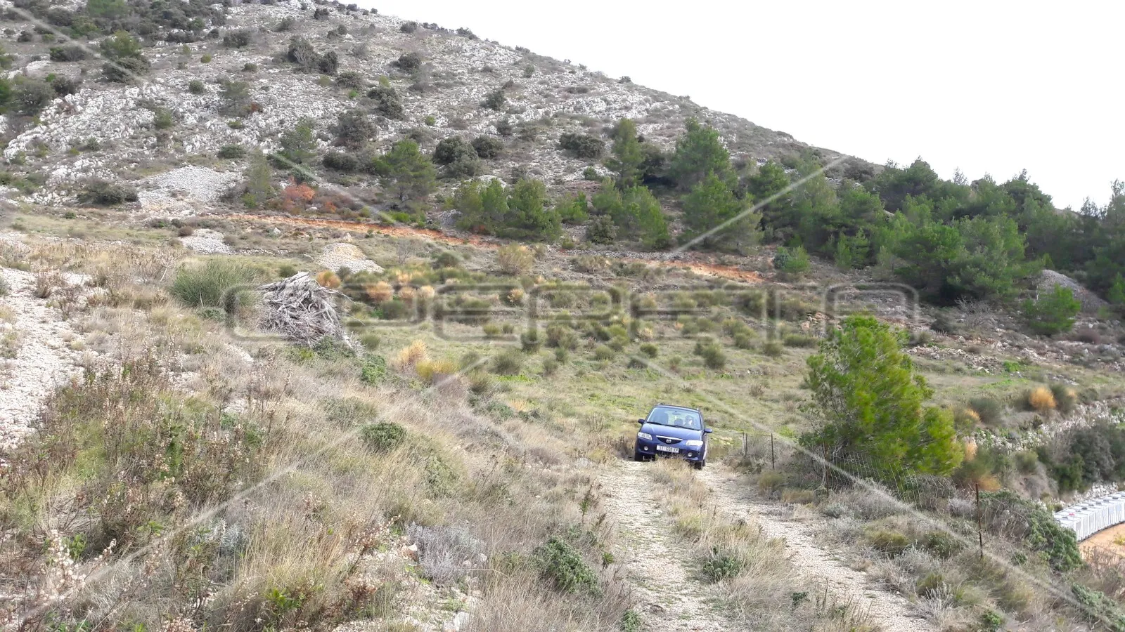 poljoprivredno zemljište s pogledom na more 27980 m2, bol, otok brač - slika 8