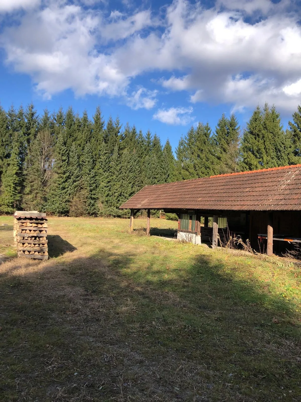 Rožman brdo bb, Vrbovsko, 40.212,00 m2, 1,00 EUR