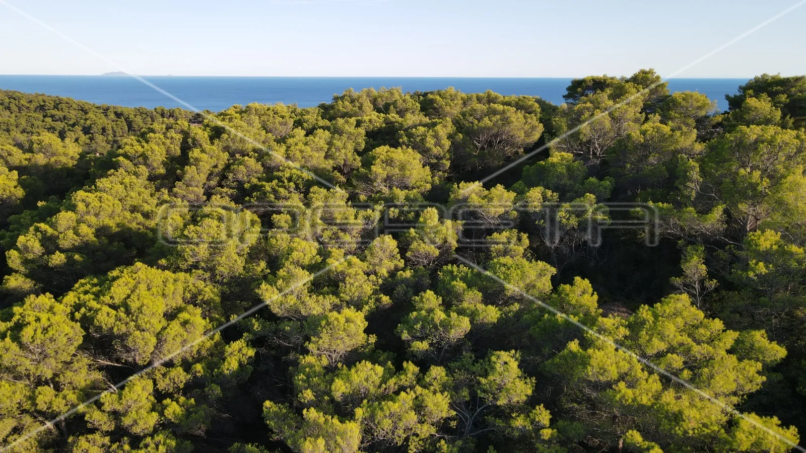 zemljište 4.105 m2, pravilan oblik i otovoren pogled na more, otok vis - slika 10