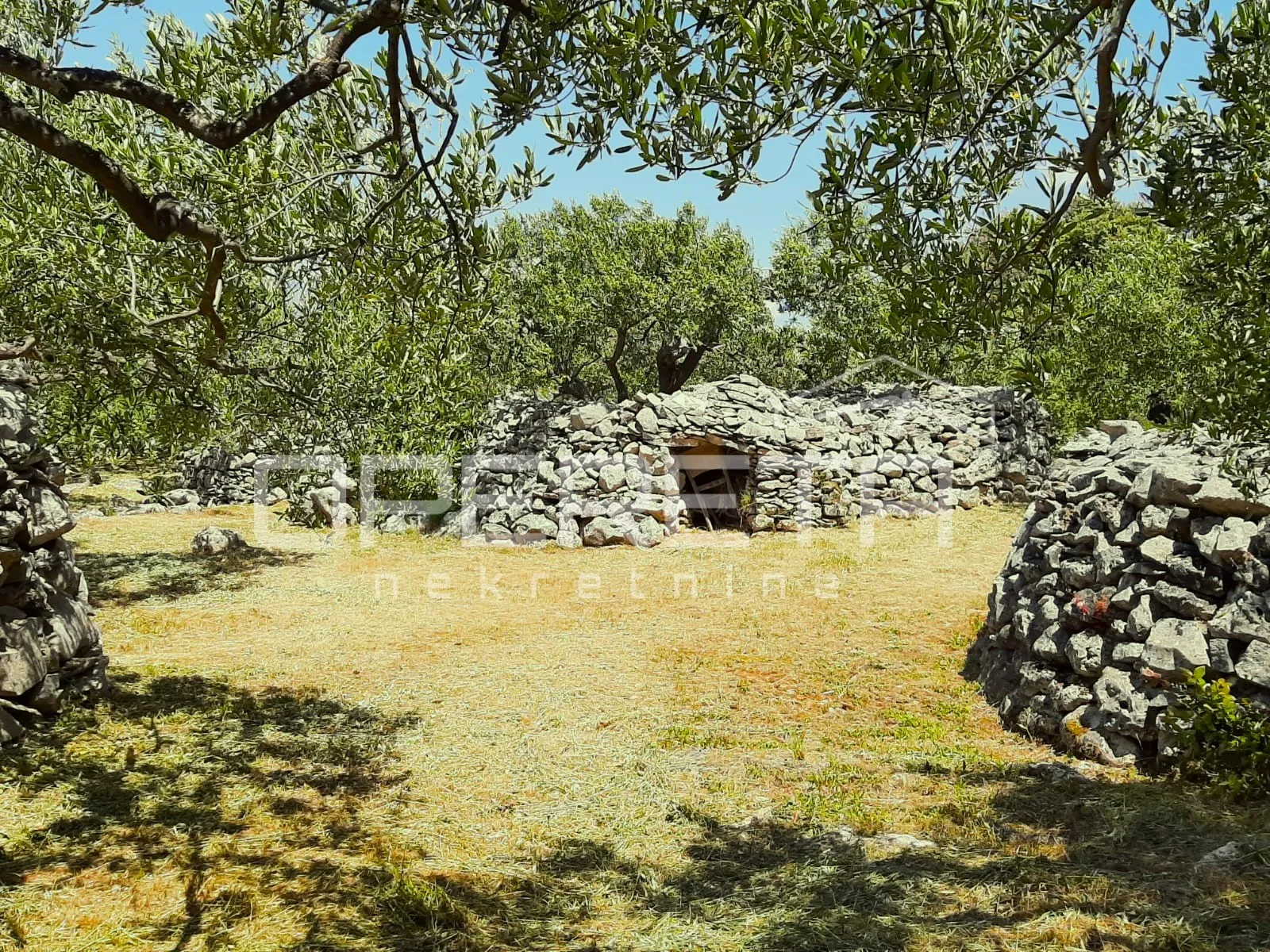 poljoprivredno zemljište, 4.834 m2, splitska, brač - slika 3