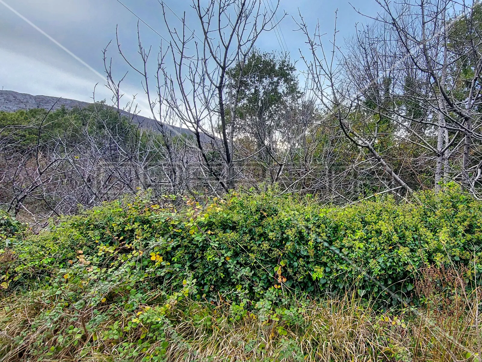 tugare, naklice, poljoprivredno zemljište, 332 m2 - slika 7