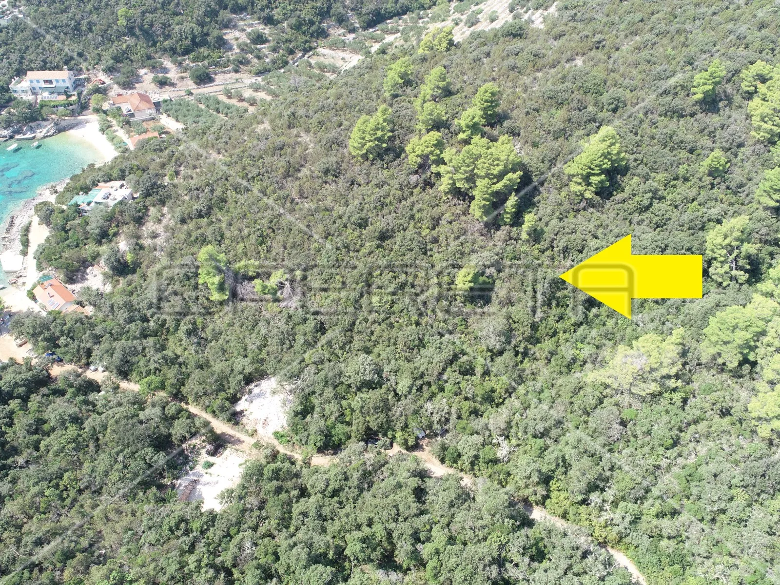 zemljište 8.079 m2 blizu mora, uvala rasohatica, korčula - slika 6